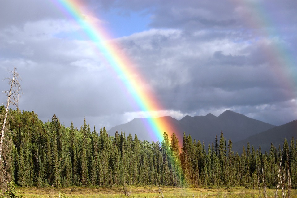 See the Rainbow in the Clouds