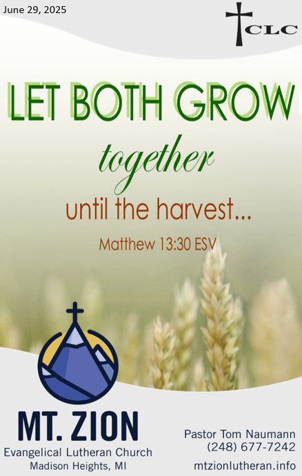 Trinity 2 – June 29, 2025